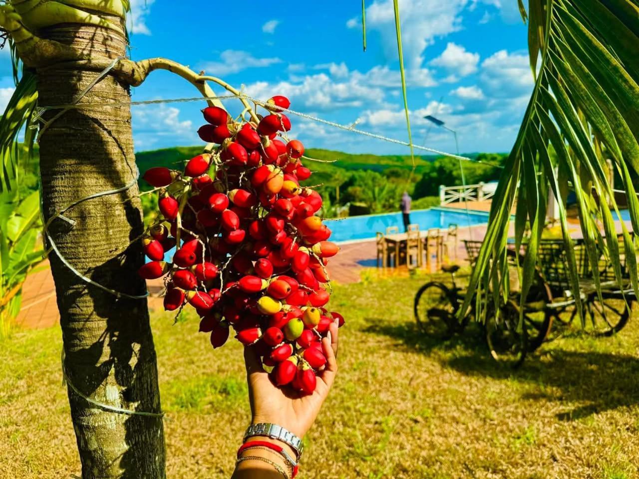 Ratanakiri Paradise Hotel & Restaurant バンラング エクステリア 写真